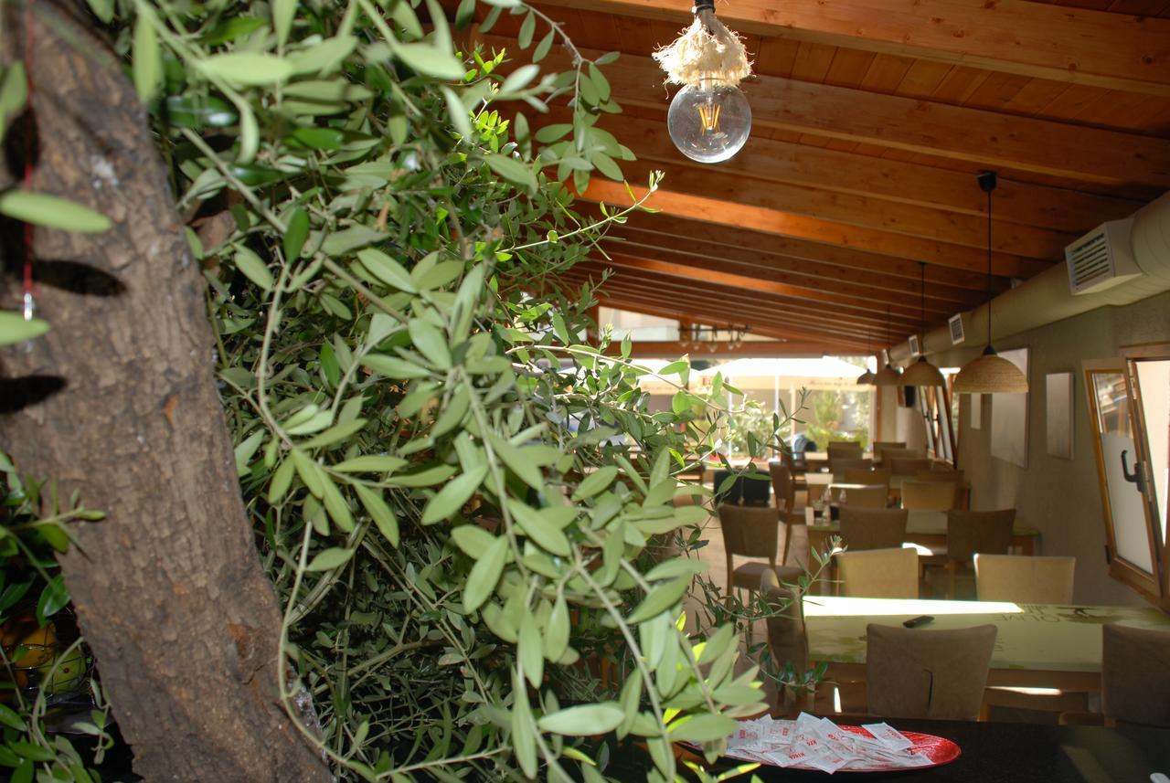 Olive Tree Hotell Sarandë Exteriör bild